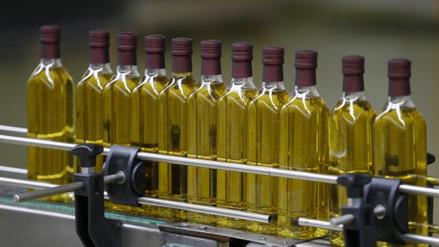 Zeytinyağı ihracatı yüzde 50 arttı