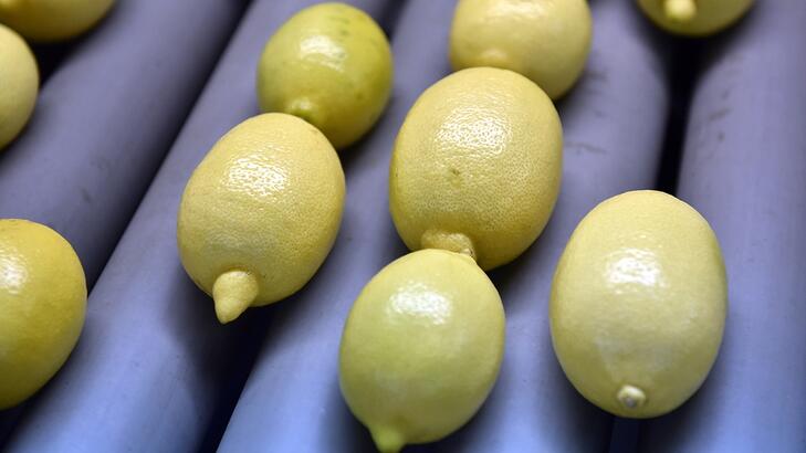 Türkiye'den 31,4 milyon dolarlık limon ihraç edildi